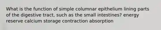 What is the function of simple columnar epithelium lining parts of the digestive tract, such as the small intestines? energy reserve calcium storage contraction absorption