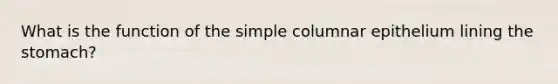 What is the function of the simple columnar epithelium lining the stomach?