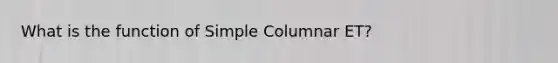 What is the function of Simple Columnar ET?