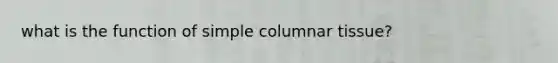 what is the function of simple columnar tissue?