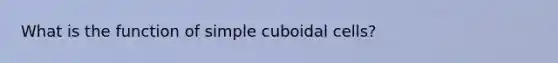 What is the function of simple cuboidal cells?