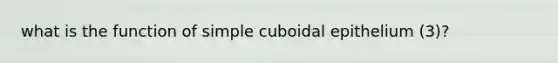 what is the function of simple cuboidal epithelium (3)?