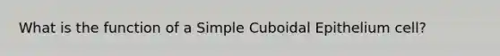 What is the function of a Simple Cuboidal Epithelium cell?