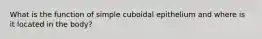 What is the function of simple cuboidal epithelium and where is it located in the body?