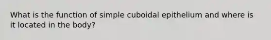 What is the function of simple cuboidal epithelium and where is it located in the body?