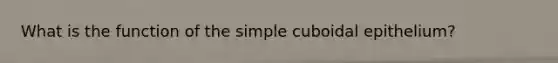 What is the function of the simple cuboidal epithelium?