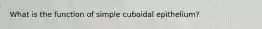 What is the function of simple cuboidal epithelium?