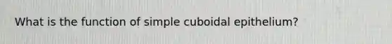 What is the function of simple cuboidal epithelium?