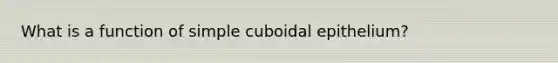 What is a function of simple cuboidal epithelium?