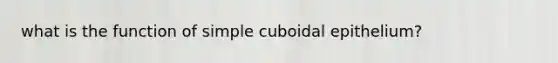 what is the function of simple cuboidal epithelium?