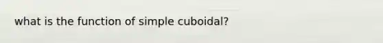 what is the function of simple cuboidal?