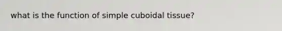 what is the function of simple cuboidal tissue?