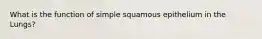 What is the function of simple squamous epithelium in the Lungs?