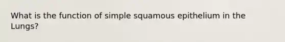 What is the function of simple squamous epithelium in the Lungs?