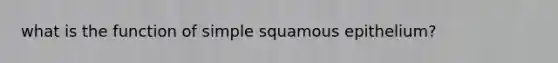 what is the function of simple squamous epithelium?