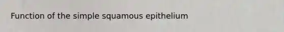 Function of the simple squamous epithelium