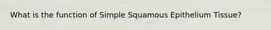 What is the function of Simple Squamous Epithelium Tissue?