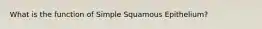 What is the function of Simple Squamous Epithelium?