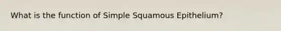 What is the function of Simple Squamous Epithelium?