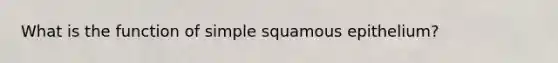 What is the function of simple squamous epithelium?