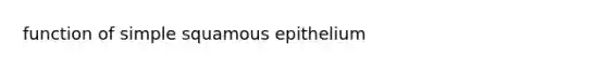 function of simple squamous epithelium