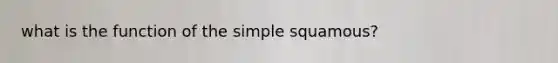 what is the function of the simple squamous?