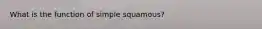 What is the function of simple squamous?