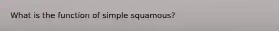 What is the function of simple squamous?