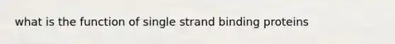 what is the function of single strand binding proteins