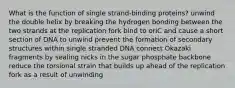 What is the function of single strand-binding proteins? unwind the double helix by breaking the hydrogen bonding between the two strands at the replication fork bind to oriC and cause a short section of DNA to unwind prevent the formation of secondary structures within single stranded DNA connect Okazaki fragments by sealing nicks in the sugar phosphate backbone reduce the torsional strain that builds up ahead of the replication fork as a result of unwinding