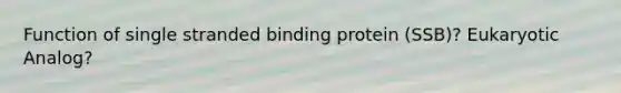 Function of single stranded binding protein (SSB)? Eukaryotic Analog?