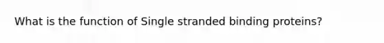 What is the function of Single stranded binding proteins?