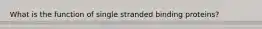 What is the function of single stranded binding proteins?