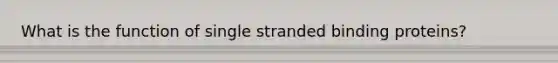 What is the function of single stranded binding proteins?