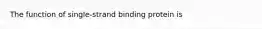 The function of single-strand binding protein is