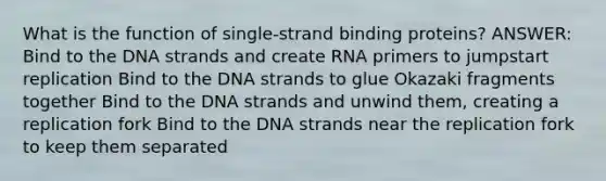 What is the function of single-strand binding proteins? ANSWER: Bind to the DNA strands and create RNA primers to jumpstart replication Bind to the DNA strands to glue Okazaki fragments together Bind to the DNA strands and unwind them, creating a replication fork Bind to the DNA strands near the replication fork to keep them separated