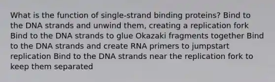 What is the function of single-strand binding proteins? Bind to the DNA strands and unwind them, creating a replication fork Bind to the DNA strands to glue Okazaki fragments together Bind to the DNA strands and create RNA primers to jumpstart replication Bind to the DNA strands near the replication fork to keep them separated