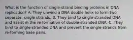 What is the function of single-strand binding proteins in DNA replication? A. They unwind a DNA double helix to form two separate, single strands. B. They bind to single-stranded DNA and assist in the re-formation of double-stranded DNA. C. They bind to single-stranded DNA and prevent the single-strands from re-forming base pairs.