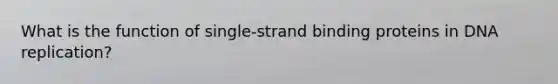 What is the function of single-strand binding proteins in <a href='https://www.questionai.com/knowledge/kofV2VQU2J-dna-replication' class='anchor-knowledge'>dna replication</a>?