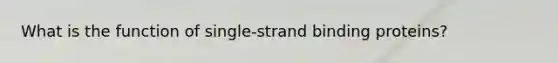 What is the function of single-strand binding proteins?