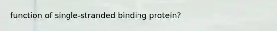 function of single-stranded binding protein?