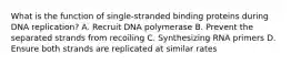 What is the function of single-stranded binding proteins during DNA replication? A. Recruit DNA polymerase B. Prevent the separated strands from recoiling C. Synthesizing RNA primers D. Ensure both strands are replicated at similar rates