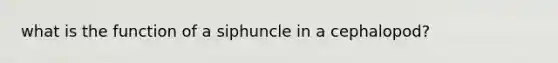 what is the function of a siphuncle in a cephalopod?