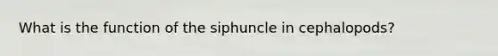 What is the function of the siphuncle in cephalopods?