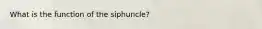 What is the function of the siphuncle?