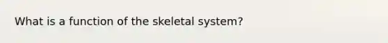 What is a function of the skeletal system?