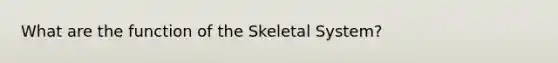 What are the function of the Skeletal System?