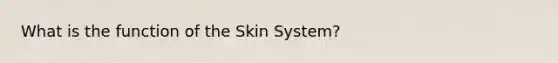 What is the function of the Skin System?