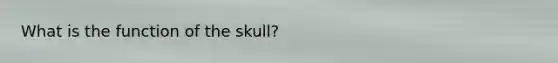 What is the function of the skull?