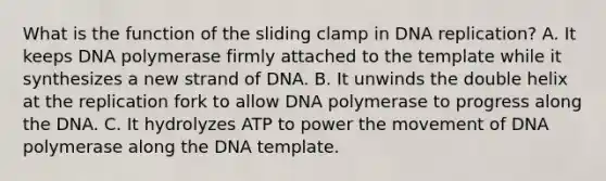 What is the function of the sliding clamp in <a href='https://www.questionai.com/knowledge/kofV2VQU2J-dna-replication' class='anchor-knowledge'>dna replication</a>? A. It keeps DNA polymerase firmly attached to the template while it synthesizes a new strand of DNA. B. It unwinds the double helix at the replication fork to allow DNA polymerase to progress along the DNA. C. It hydrolyzes ATP to power the movement of DNA polymerase along the DNA template.